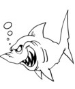 Coloriage Requin qui montre des dents