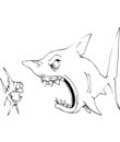 dessin Requin prt  manger un poisson