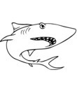 Coloriage Requin prdateur des mers