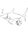 Coloriage Requin nage avec poisson