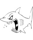 coloriage Requin la gueule grande ouverte