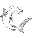 Coloriage Requin marteau