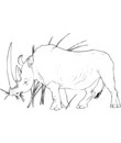 imprimer coloriage rhinoceros