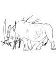 coloriage rhinoceros gratuit