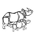 coloriage a imprimer rhinoceros