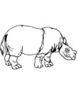 rhinoceros a colorier