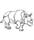 coloriage dessin gratuit rhinoceros