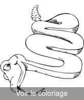 dessin serpent