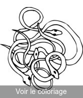 coloriage véritable nid de serpents