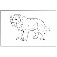 Coloriage smilodon semi-réaliste simple en 3/4, fourrure en lignes (16:9) | Toupty.com