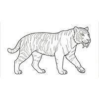 Coloriage smilodon réaliste épuré en marche, dents de sabre non agressives (16:9) | Toupty.com