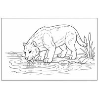 Coloriage smilodon réaliste épuré au bord d’une rivière, roseaux et vagues (16:9) | Toupty.com