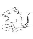 image souris pour coloriage