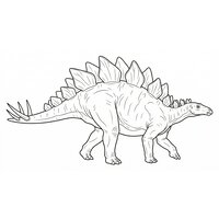 Coloriage stégosaure adulte réaliste marchant de profil