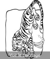 coloriage Tigre qui digère après un bon repas