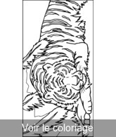 coloriage Tigre qui fait la sieste