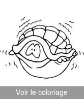 coloriage gratuit tortue peureuse