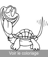 imprimer gratuitement coloriage tortue dingo !!