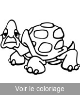 coloriage image tortue gratuit