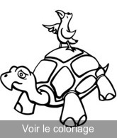 image tortue et oiseau pour colorier