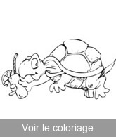 coloriage image tortue rigolote