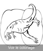 coloriage t-rex