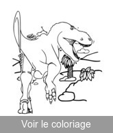 coloriage tyrannosaure-rex 