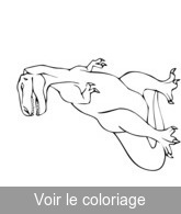 coloriage Tyrannosaure sur ses gardes