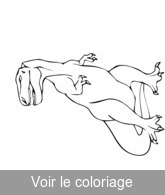 coloriage Tyrannosaure sur ses gardes