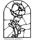 coloriage de vitrail de fleur a imprimer