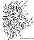 coloriage fleur