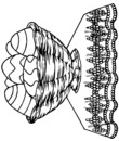 Coloriage Pâques : corbeille d'oeufs de pâques