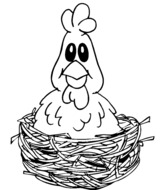 La poule dans son nid