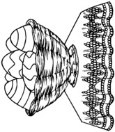 Corbeille d'oeufs de Pâques