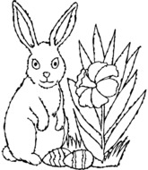 Lapin et oeufs