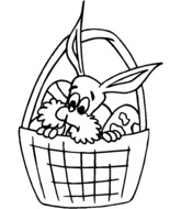 Lapin dans son panier