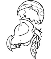 Le poussin sort de son oeuf