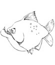 coloriage poisson