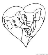 Couple d'éléphants