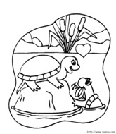 Deux amours de tortues