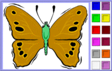papillon corps vert ailes marron