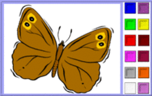 papillon ailes tâches jaunes