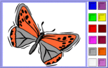 papillon orange et gris