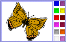 papillon 2 couleurs