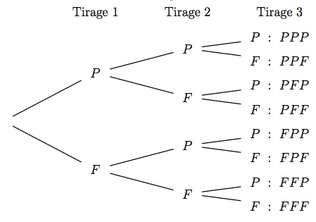 Arbre de Probabilités