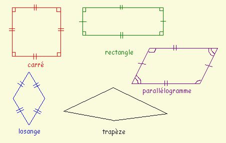 parallelogrammes