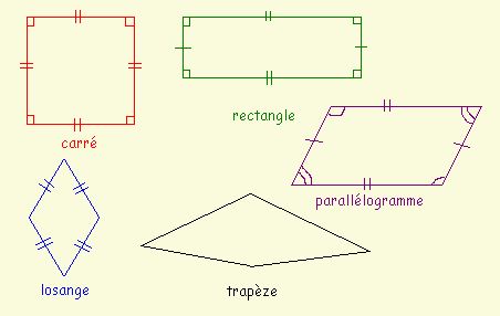 parallelogrammes