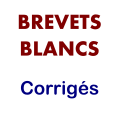 Brevet blanc 3ème avec correction PDF