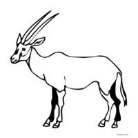 Antilope
