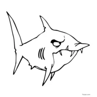 Requin